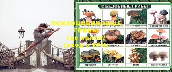 spice Алексин