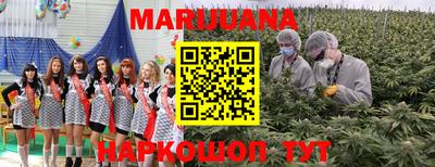 трава Камышлов