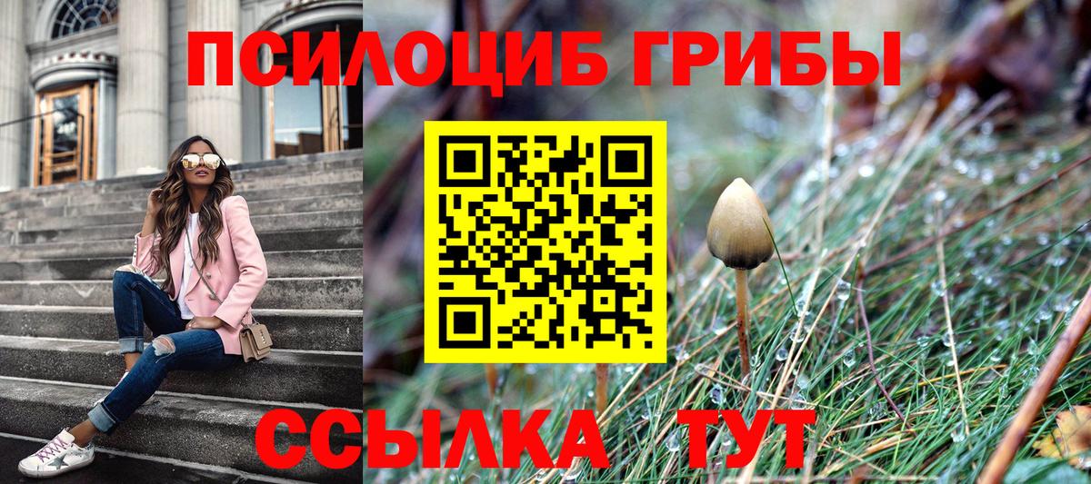 Галлюциногенные грибы Cubensis Кохма