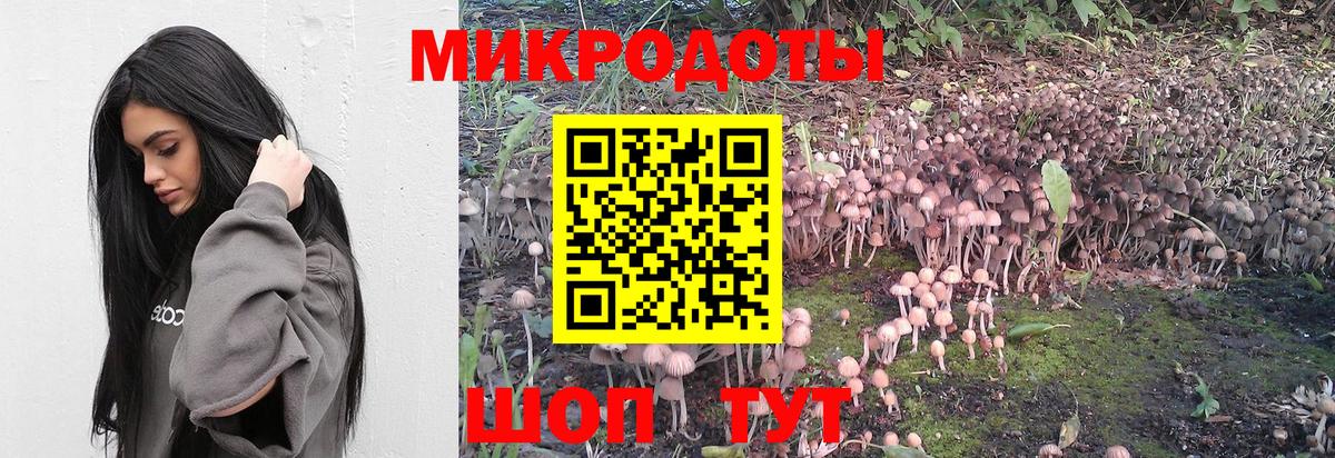 Галлюциногенные грибы GOLDEN TEACHER  Вход с VPN  Кохма 